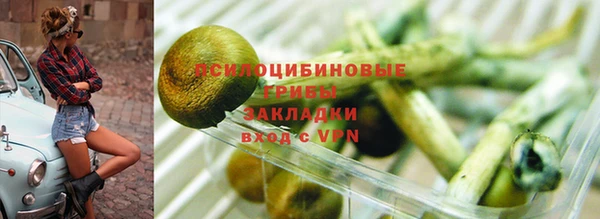 а пвп мука Няндома
